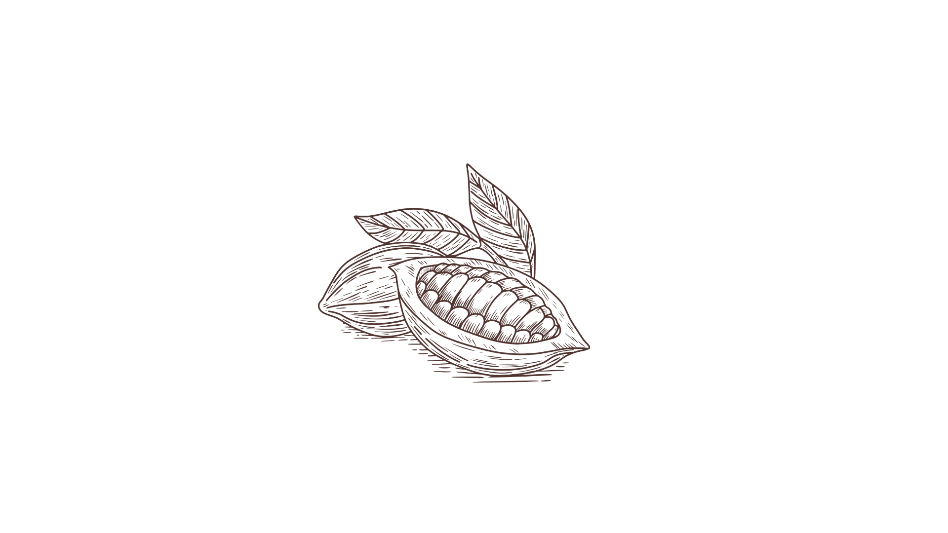 Beurre de Cacao
